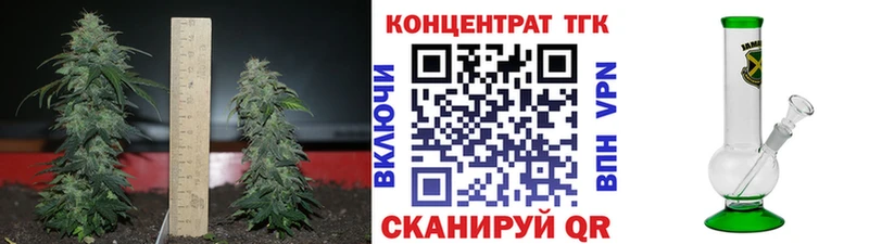 ТГК Wax Медынь