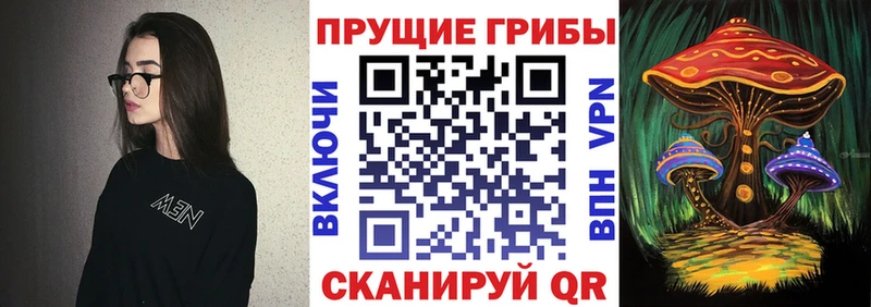 hydra вход  Медынь  Псилоцибиновые грибы MAGIC MUSHROOMS 
